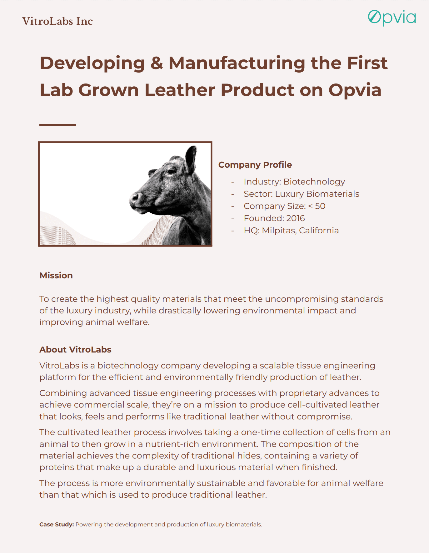 lab grown leather